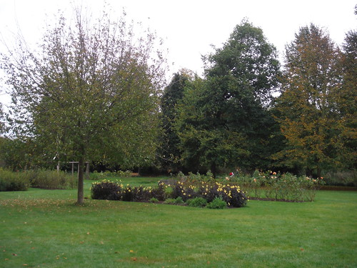 Rose Garden, Morden Hall Park SWC Walk Short 13 - Morden Hall Park and Merton Abbey Mills