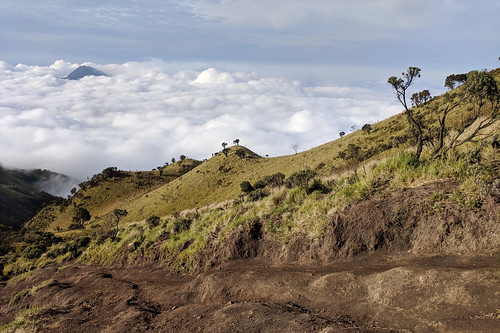 indonesia central java mountain volcano hiking travel outdoor merbabu google pixel xl