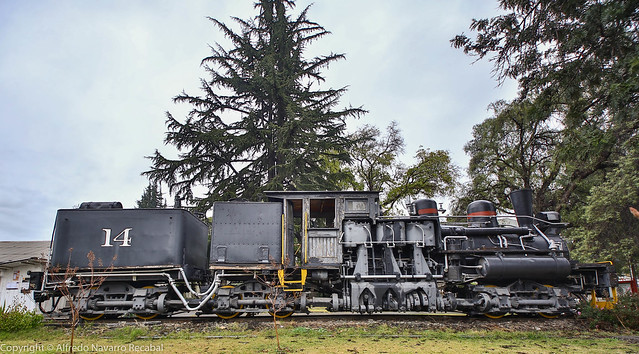 Locomotora Shay N°14. The Braden Copper Company Railway