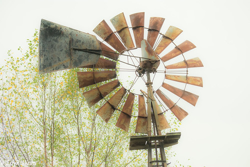 Windmill | by Joy of Nature