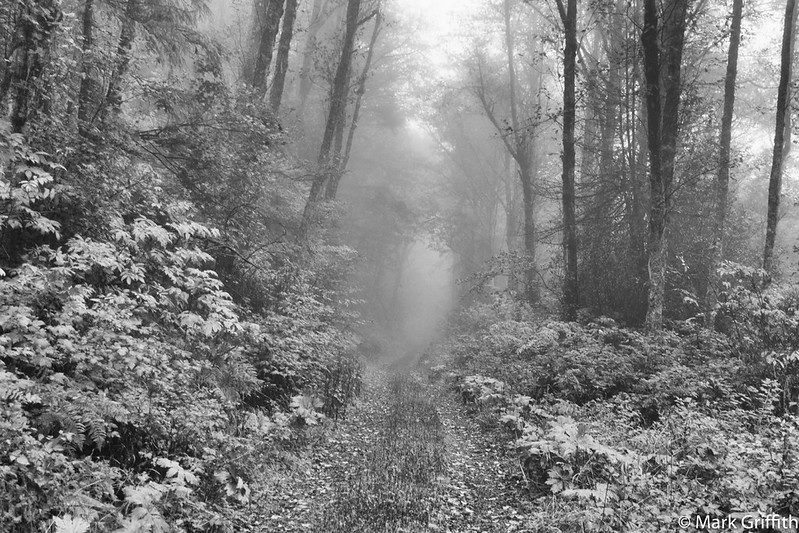 The End of the Road