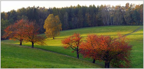 sachsen saxony deutschland germany herbst autumn abend sonnenuntergang herbstlaub laubfärbung birke doberberg wünschendorf streuobstwiese