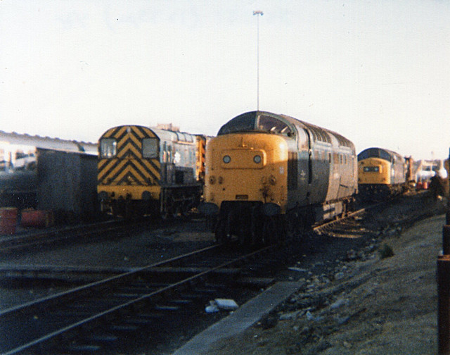 55004 Withdrawn at York Depot
