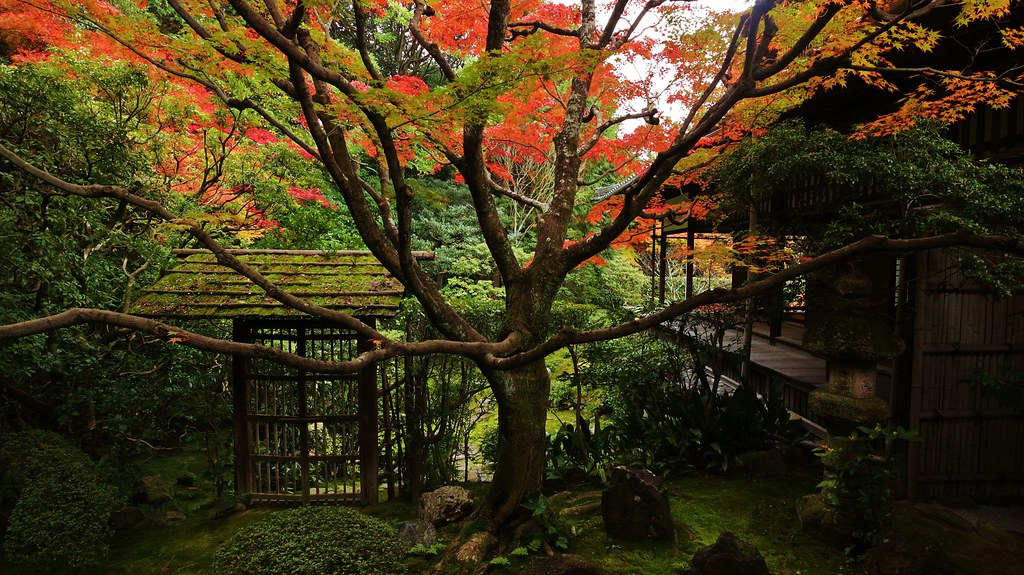 Zen Garden of Wabi / Kyoto  Myoshin-ji Keishunin 京都 妙心寺 桂春院