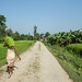 34308-022: Commercial Agriculture Development Project in Nepal