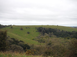 Old Winchester Hill (Ditch, Bank and Barrows) from across the coombe SWC Walk 183 - South Downs Way Section 2: West Meon to Petersfield