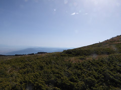 Mount Vitosha (4)