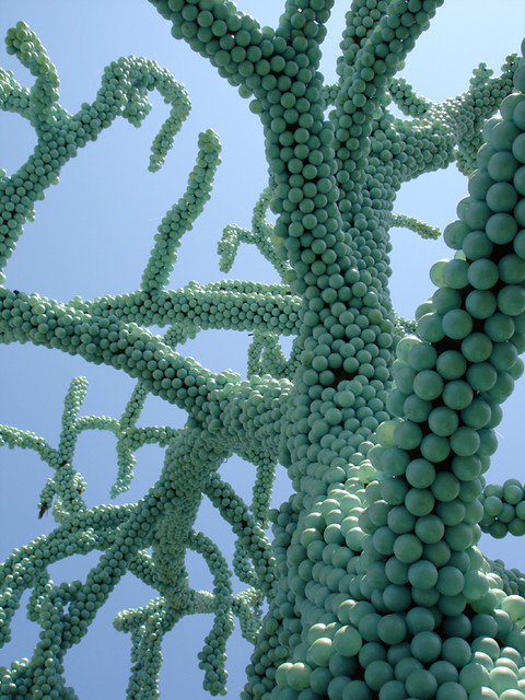 Sonoma blueball tree | Sonoma blueball tree | cs@sf | Flickr
