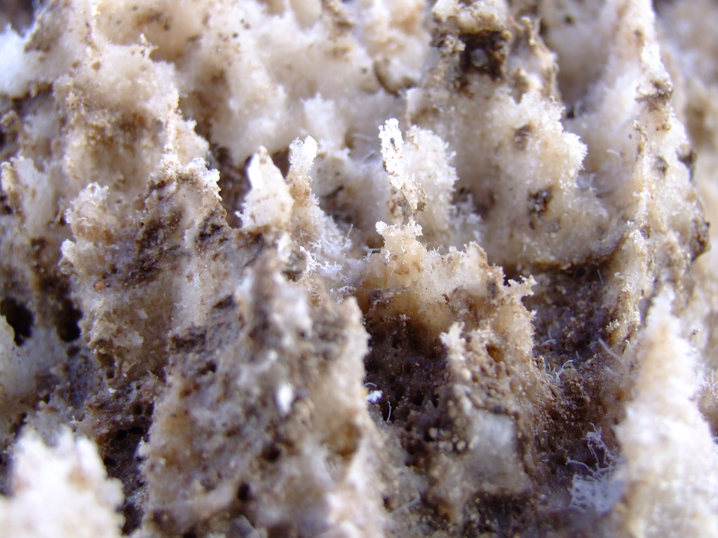 Wild Salt Rocks Death Valley | Flickr