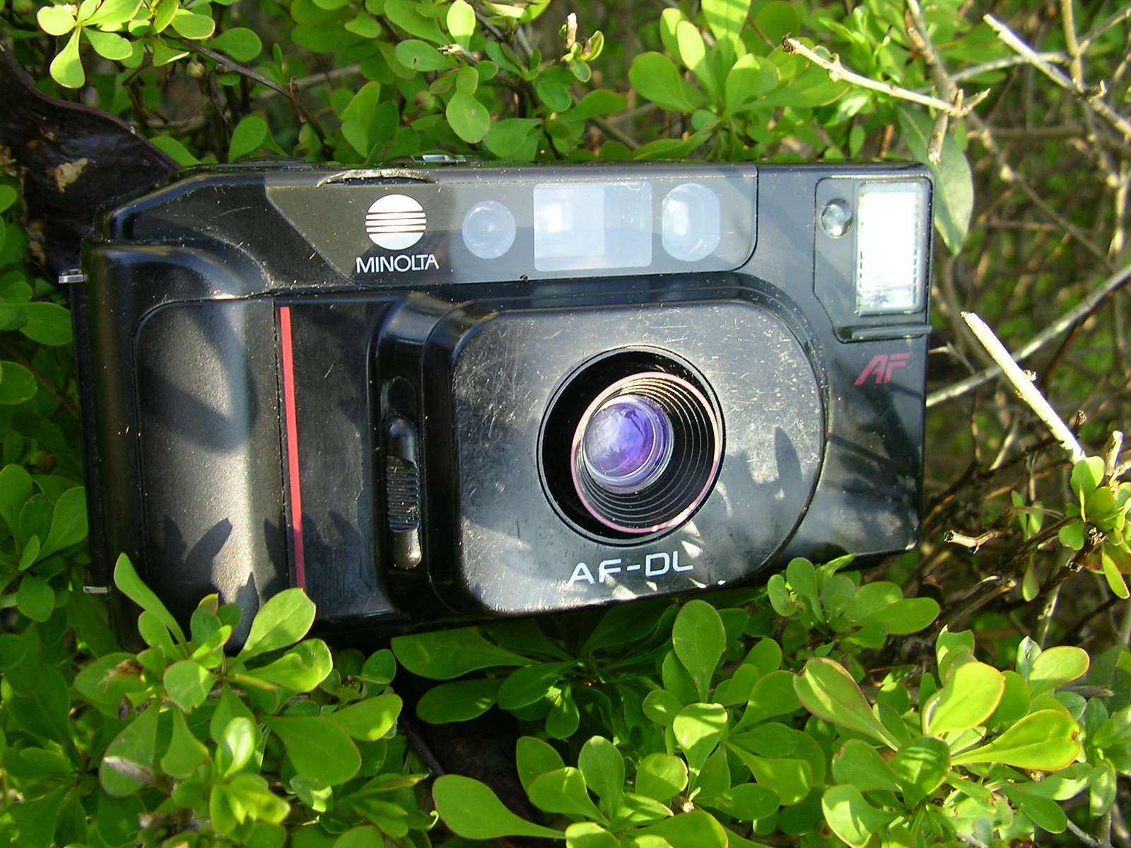early auto-focus MINOLTA with switchable focus