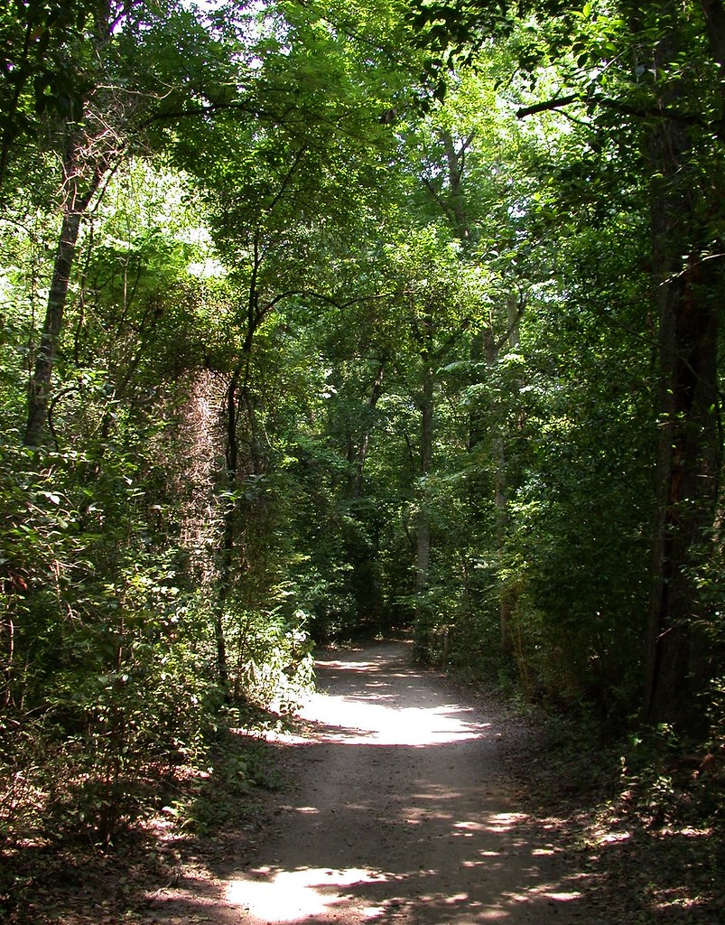 The Path | Beautiful section of trail in Memorial Park, Ho C… | Flickr