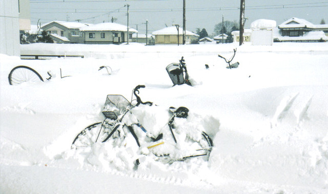 snow bikes (niigata)