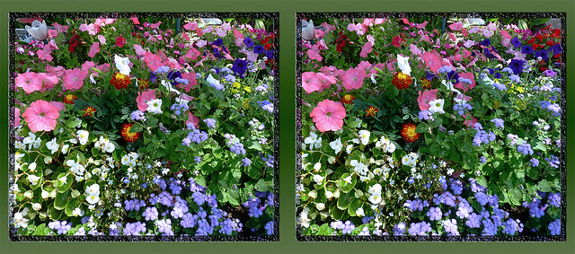 Mom's Flower Garden in Full Bloom 9 - Cross-eye 3D