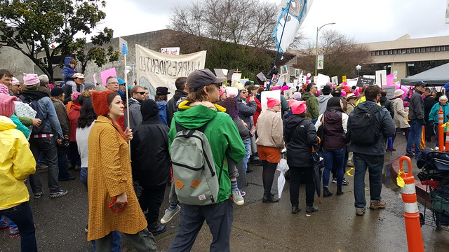 170121 Womens March Santa Rosa (193)