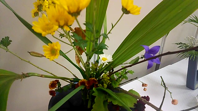 Exhibition of Ikebana (living flowers) 2017 culture day, Nov 3