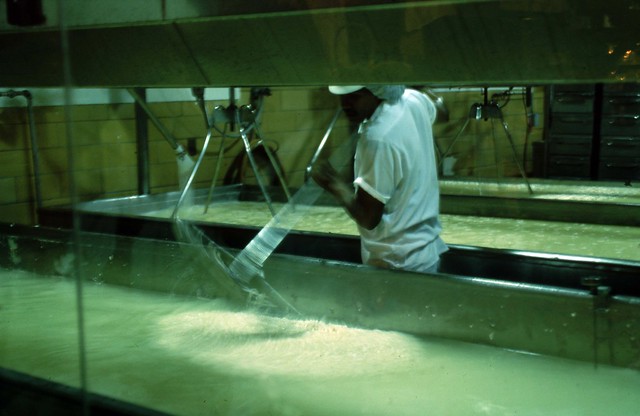 Sonoma cheese factory  1992