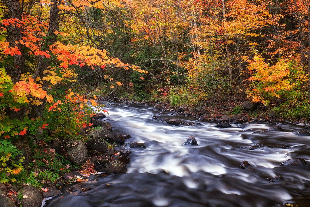 little rapids, ontario | Autumn Little Thessalon River / Bri… | Flickr