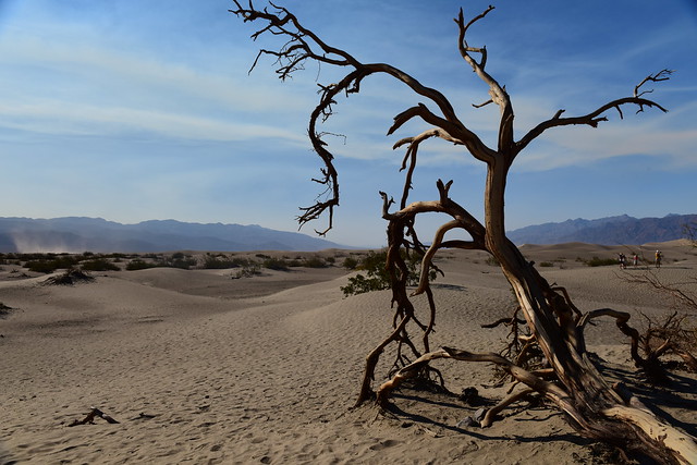 Mesquite Flat Sand dunes, Death Valley,  California US August 2017 1611