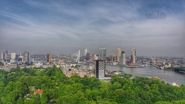 View from Euromast, Het Park, Rotterdam, Netherlands - 5275