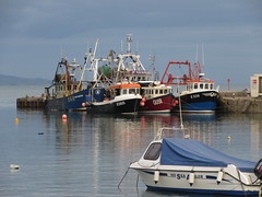 Lyme Harbour