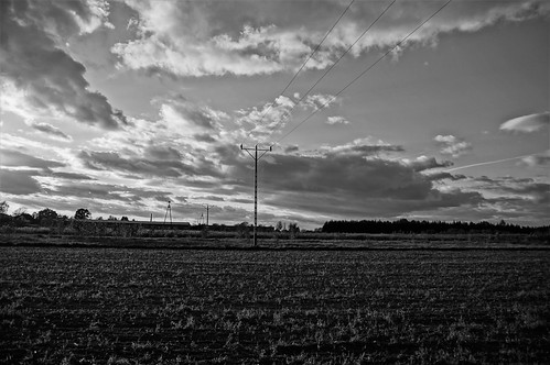 Electrifying... | by roughi