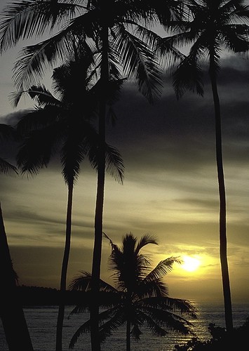 landscape sea palmtrees sunrise sky travel ubuc kodachrome64 nikonf3 unawatuna galle srilanka
