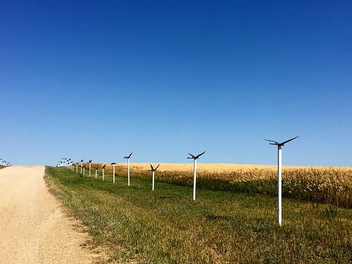 northdakota sculpture flockofbirds fields