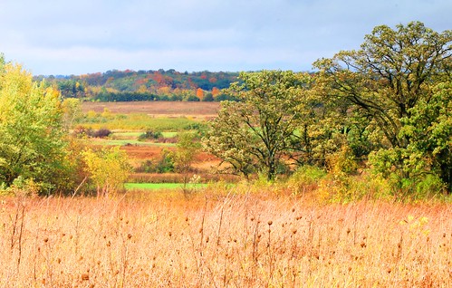 landscape cardinal marsh winneshiek county iowa larry reis