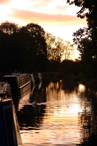 sunrise clouds llangollencanal narrowboats ellesmere shropshire swan