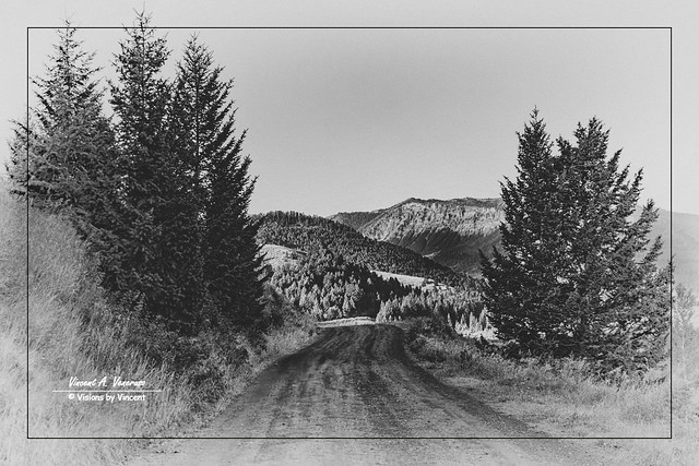 Montana Back Road
