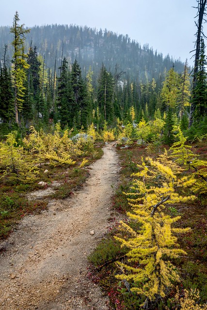 Trails of gold II. Cutthroat Pass Trail, North Cascades National Park