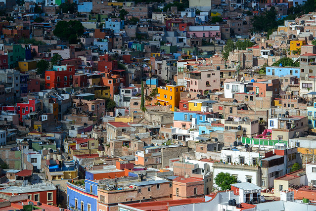 Guanajuato, Mexico - Casey-Herd-9242