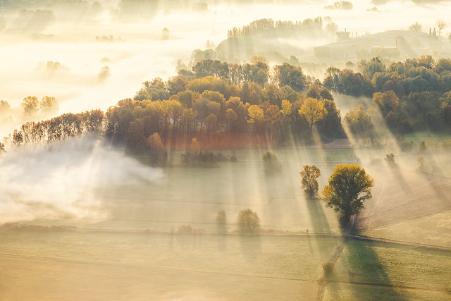 Mist and fog flowing through the trees in the valley close to  the Adda river, Airuno, Italy