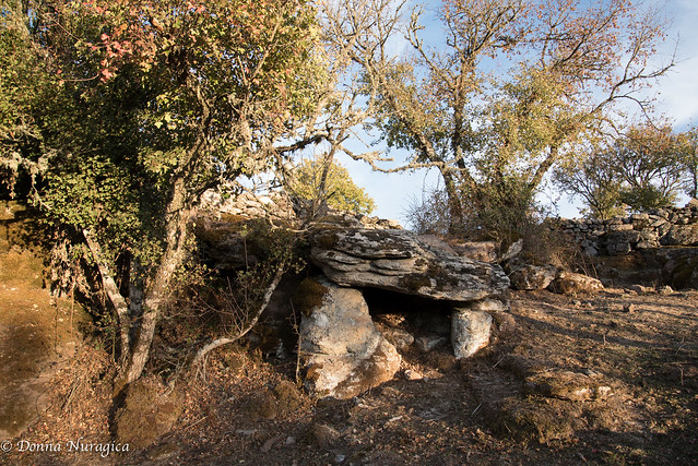 area archeologica di Ortachis, Bolotana