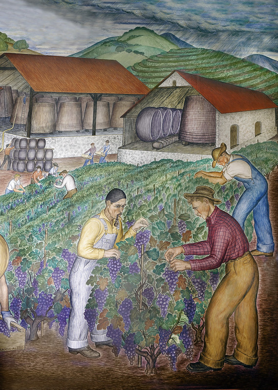 Coit_Murals • Agriculture Winery by Arbro