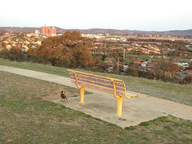 Bench with a view of Gungahlin