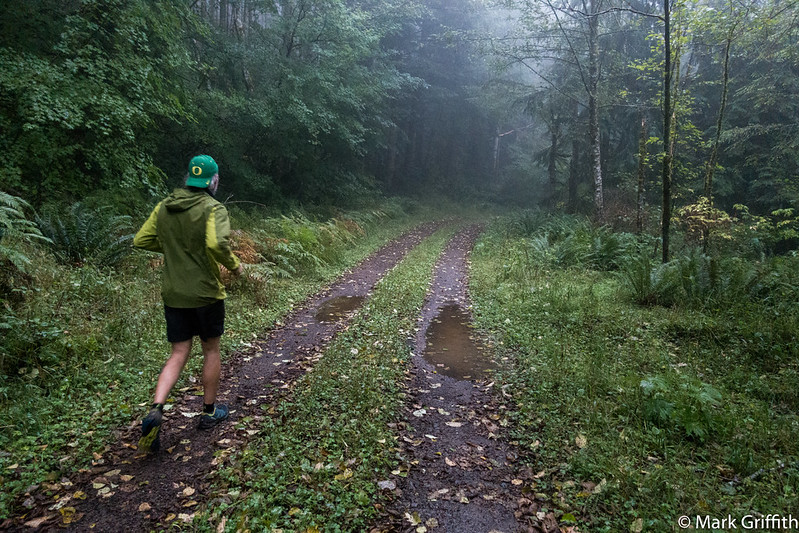 Tiger Run