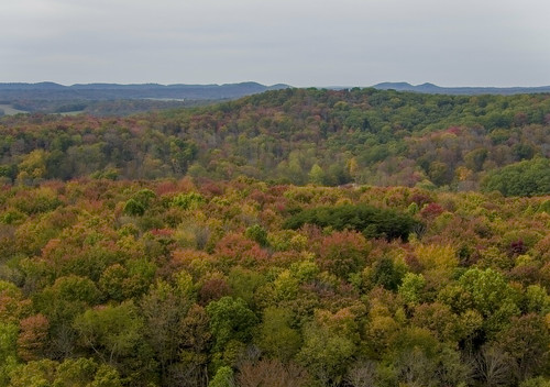 drone inspire1pro autumn fall colors scioto statepark trees