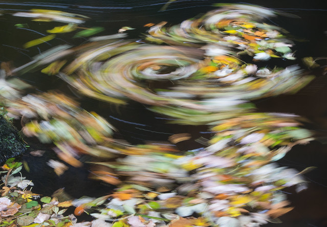Autumn Swirls