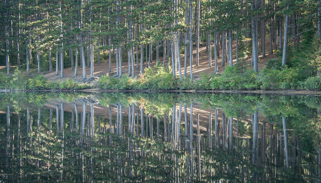 Pog Lake reflections | jaros 2(Ron) | Flickr