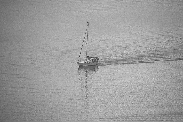 Sailboat on Hudson River in Fog