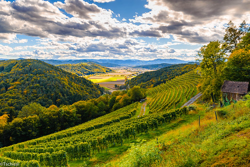 wein landscape landschaft austria berge location herbst wolken steiermark österreich hdr