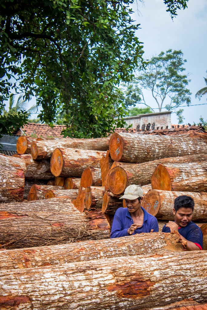 Men pack logs onto the back of a truck, a common site throughout the furniture-making town of Jepara in Indonesia.