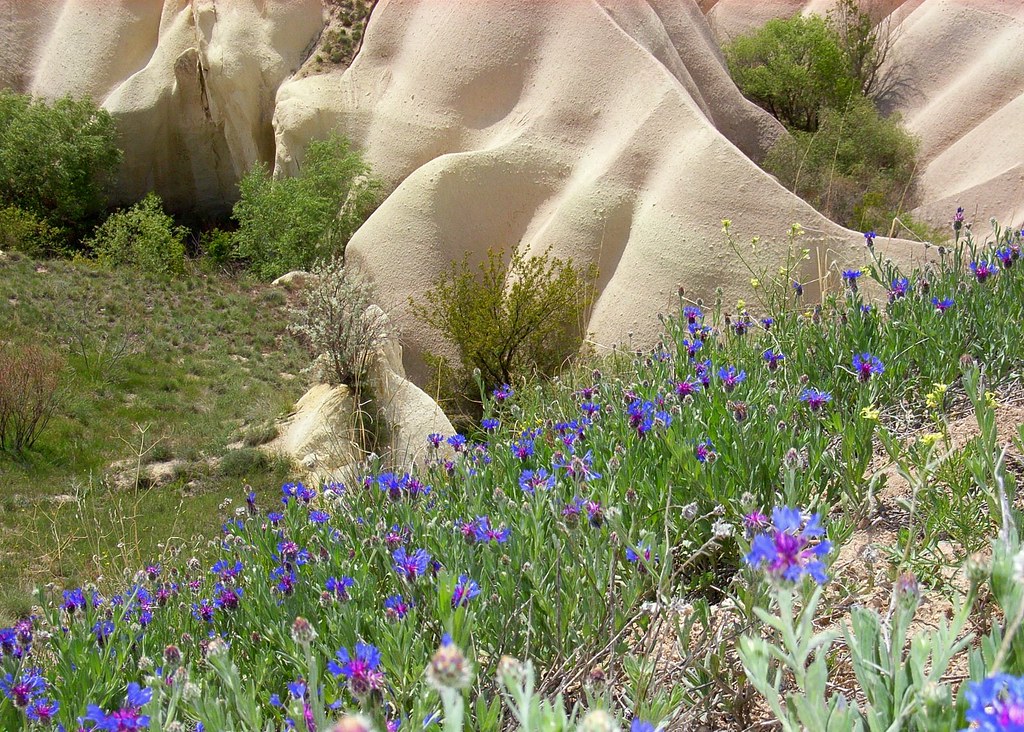 Spring in Cappadocia