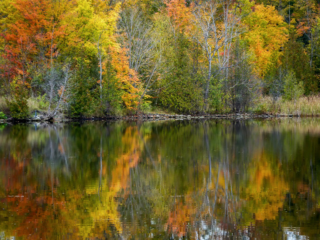 Autumn Colour Reflections