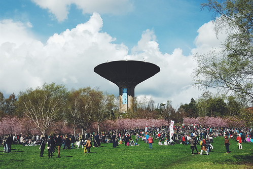 Roihuvuori Sakura festival | by Henri Kotka