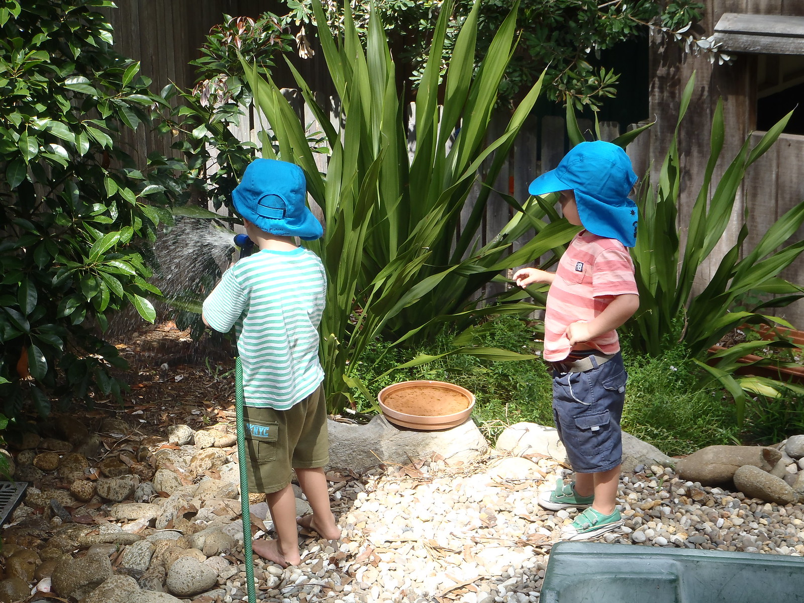taking turns to water the garden
