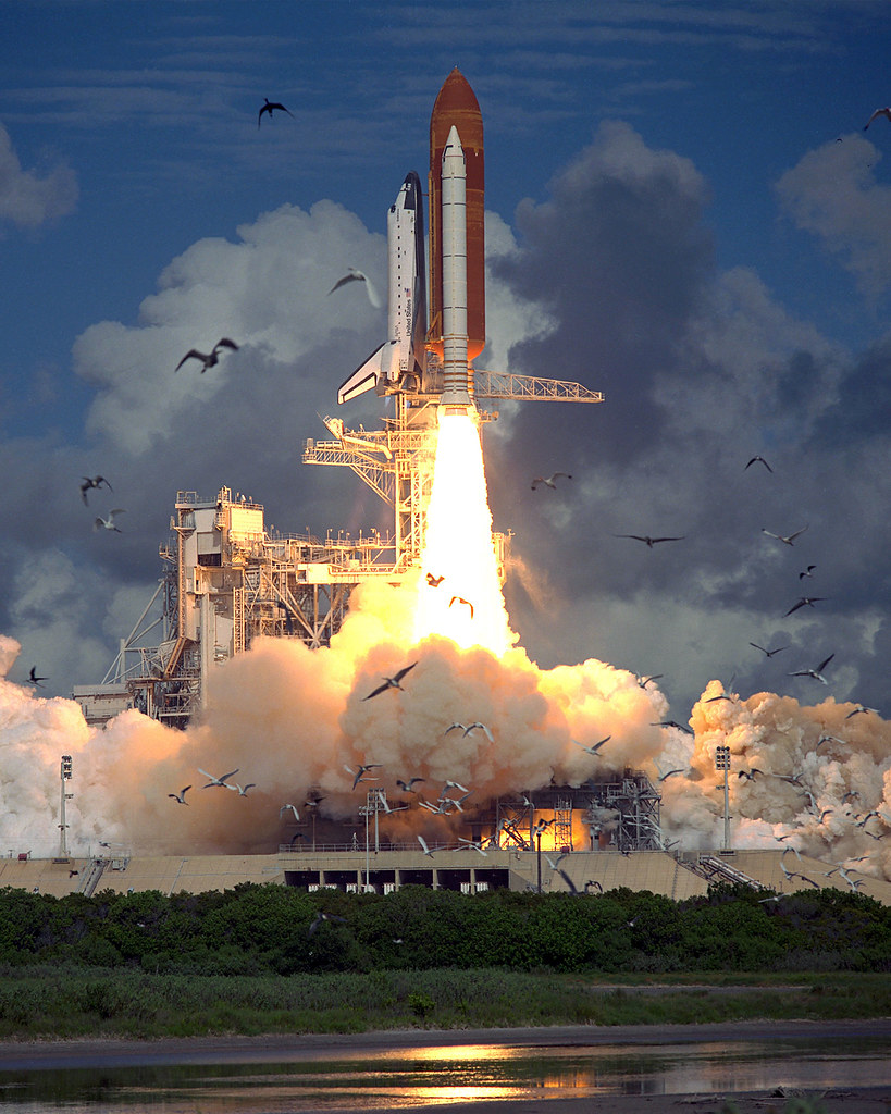 STS-57 Launch | A flock of birds takes flight as Space Shutt… | Flickr