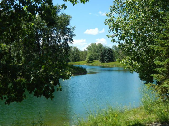 July 1 Canada Day Bow River walk - Tranquil ponds in Carburn Park