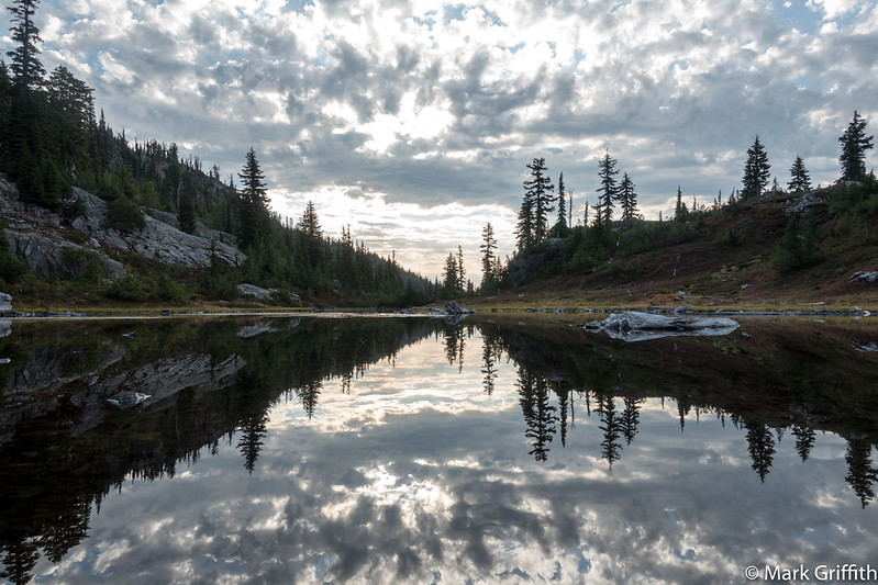 The Mirror in the Sky